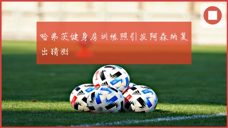 哈弗茨健身房训练照引发阿森纳复出猜测