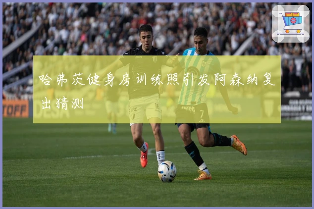 哈弗茨健身房训练照引发阿森纳复出猜测